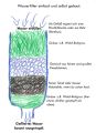 Eine andere Variante. Quelle Bild: https://www.christian-fiedler-wildlife.de/wildlife/survival-wasserfilter-selber-bauen/